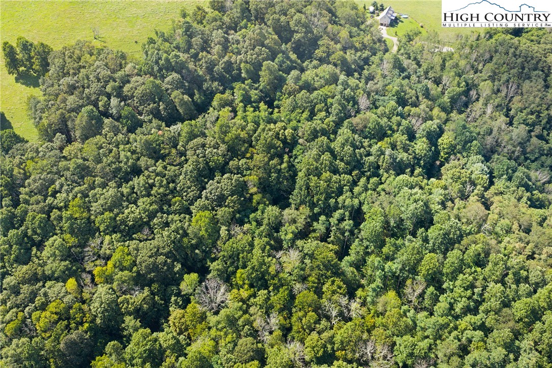 7095 Junaluska Road Boone, NC 28607 - Photo 16 of 23 Gallery Image 16