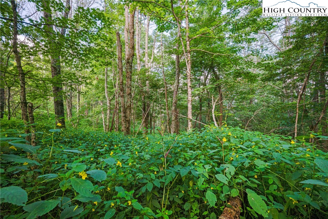 7095 Junaluska Road Boone, NC 28607 - Photo 17 of 23 Gallery Image 17