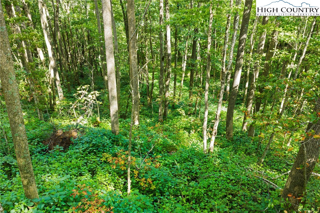7095 Junaluska Road Boone, NC 28607 - Photo 18 of 23 Gallery Image 18