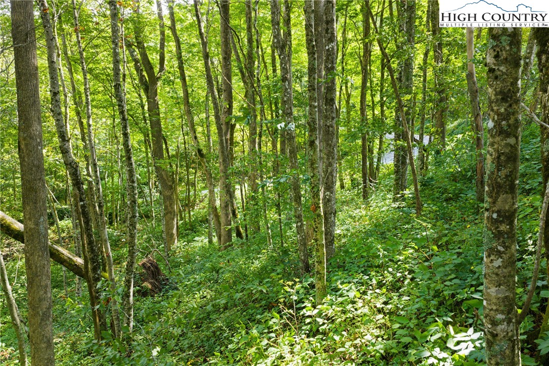 7095 Junaluska Road Boone, NC 28607 - Photo 20 of 23 Gallery Image 20