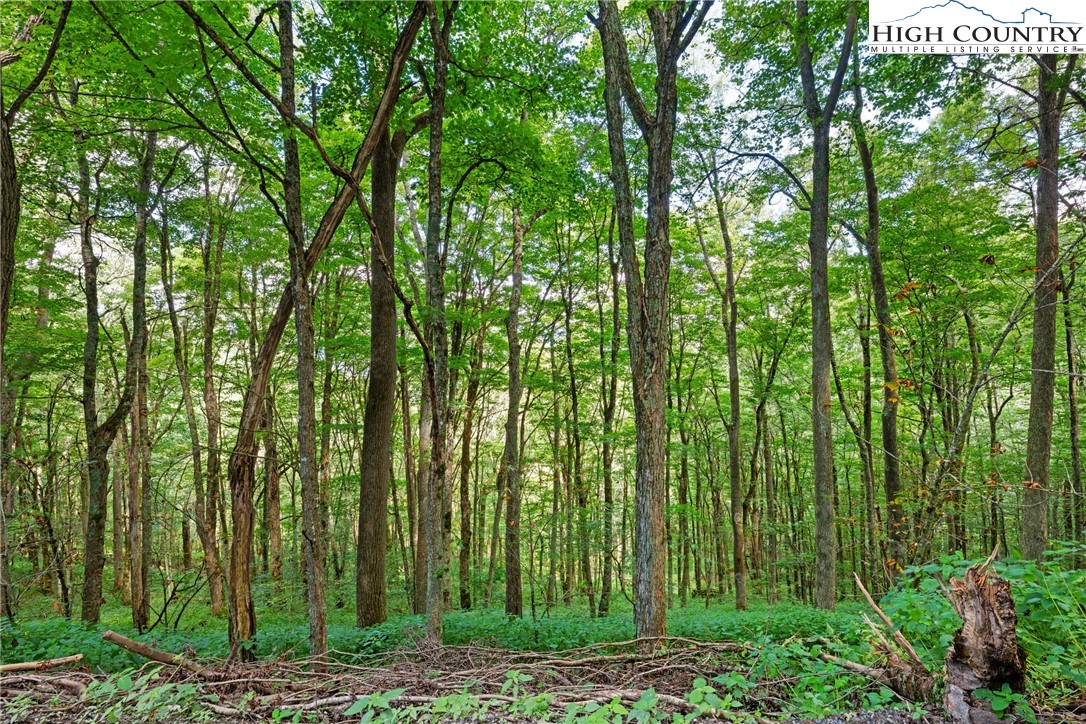 7095 Junaluska Road Boone, NC 28607 - Photo 2 of 23 Gallery Image 2
