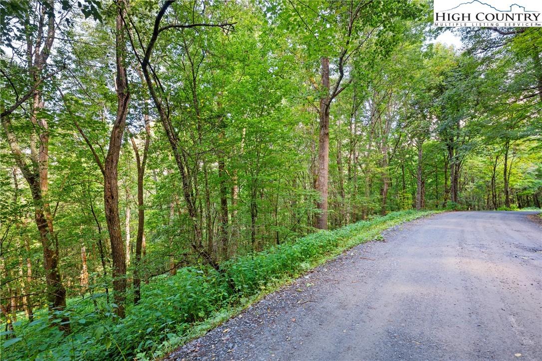 7095 Junaluska Road Boone, NC 28607 - Photo 3 of 23 Gallery Image 3