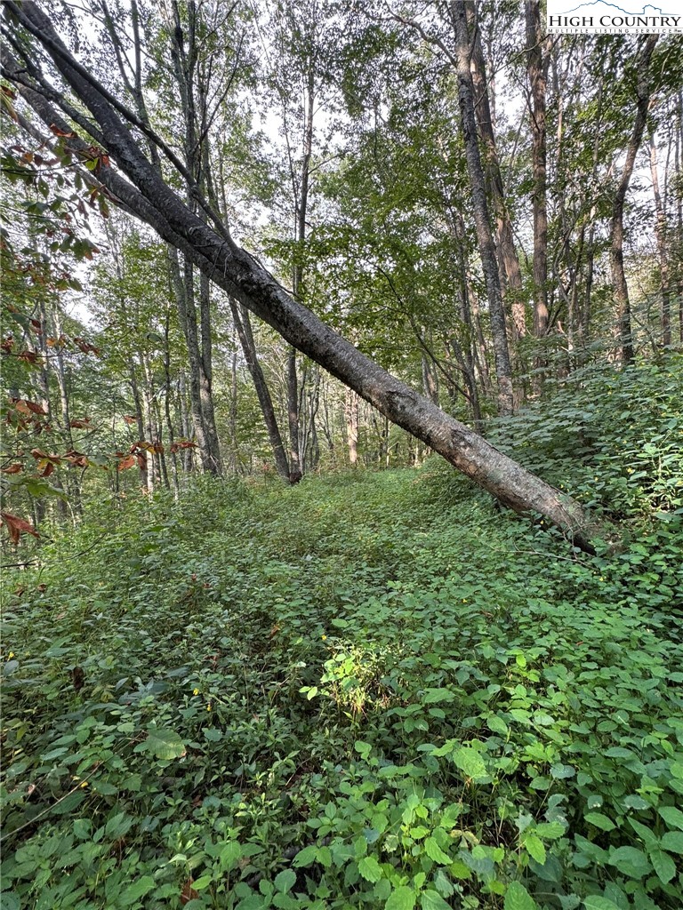 7095 Junaluska Road Boone, NC 28607 - Photo 7 of 23 Gallery Image 7