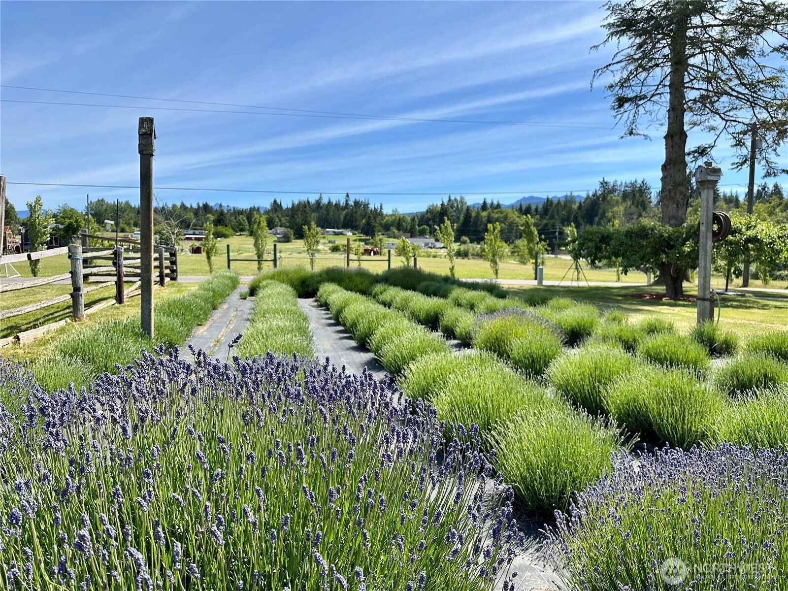 31 Brueckner Road Sequim, WA 98382 - Photo 3 of 40