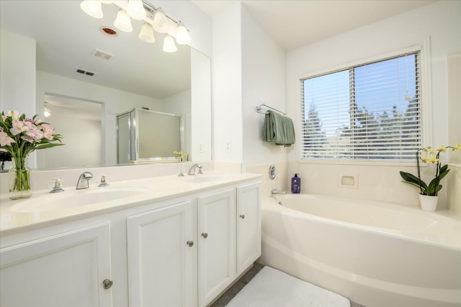 3167 San Nicolas Road West Sacramento, CA 95691 - Photo 20 of 37 Primary, ensuite bathroom