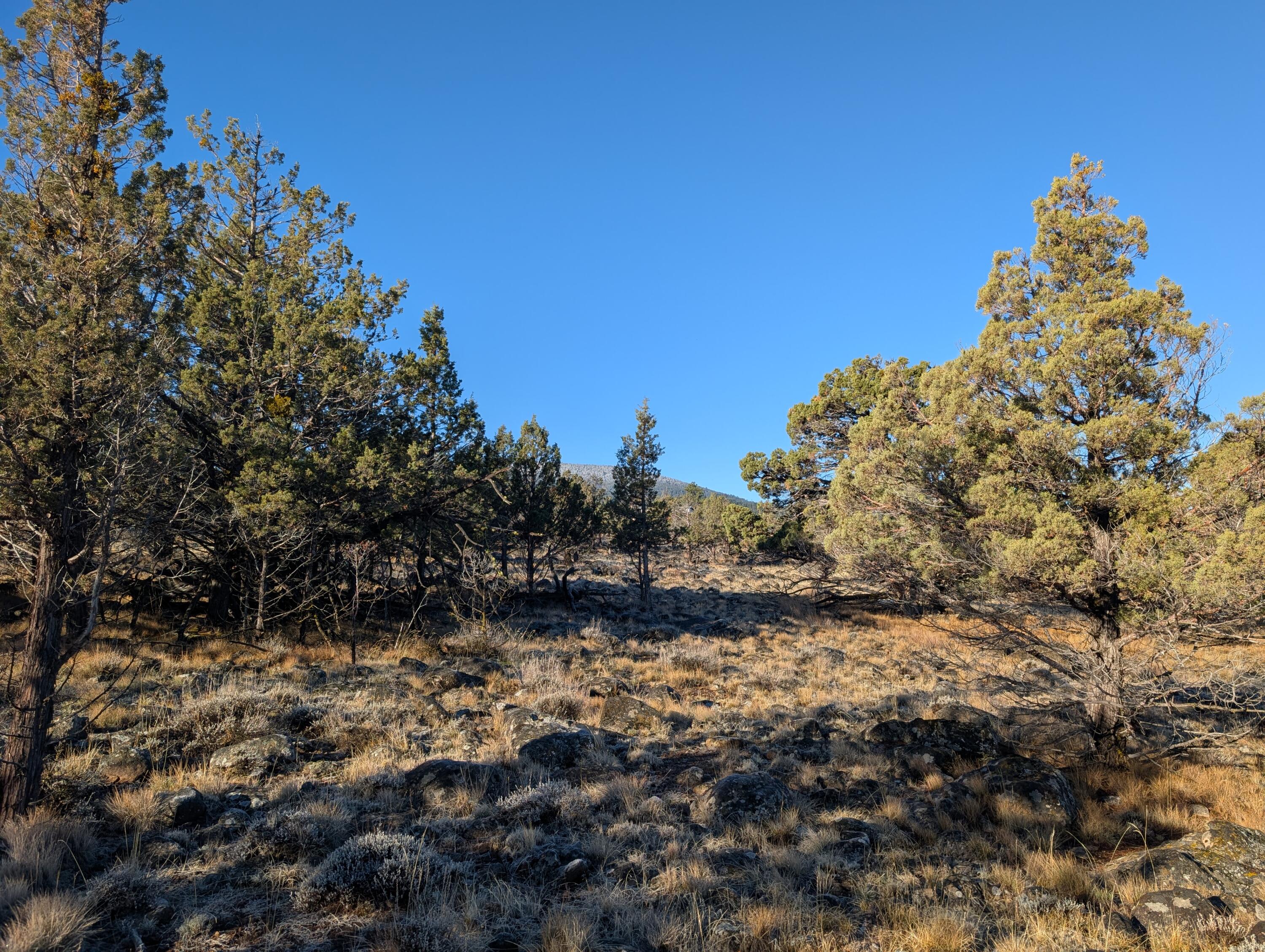 Cedar Trail Klamath Falls, OR 97603 - Photo 18 of 24 PXL_20251027_162257001.MP