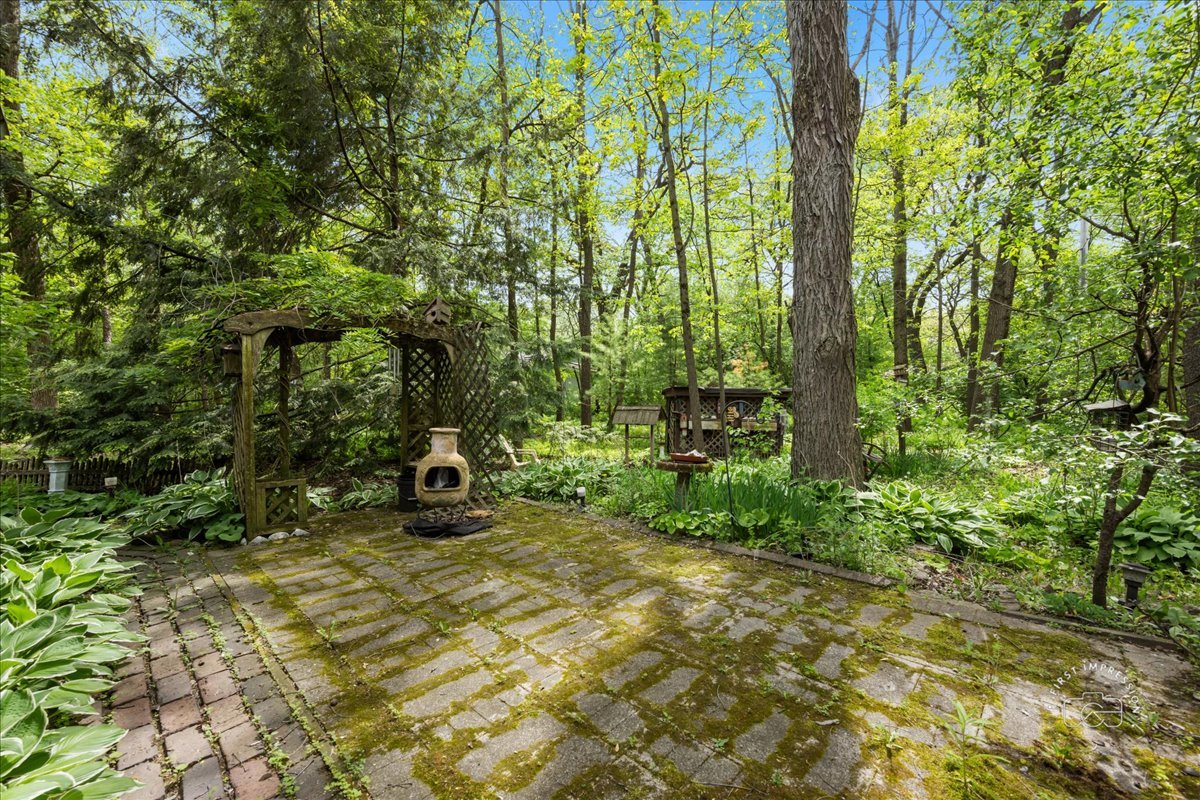6N400 Old Homestead Road St. Charles, IL 60175 - Photo 31 of 32 a view of a garden with plants and trees