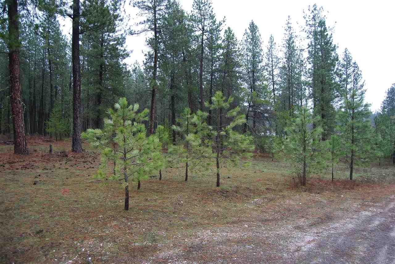 4318 Tombstone Way Springdale, WA 99173 - Photo 16 of 20