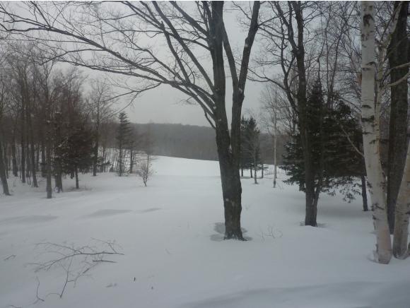 106 West Ridge Road Stratton, VT 05155 - Photo 26 of 31