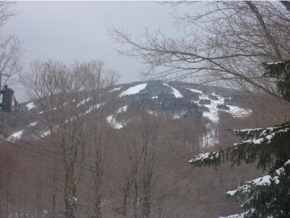 106 West Ridge Road Stratton, VT 05155 - Photo 27 of 31