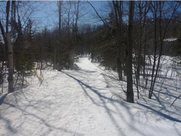 106 West Ridge Road Stratton, VT 05155 - Photo 29 of 31