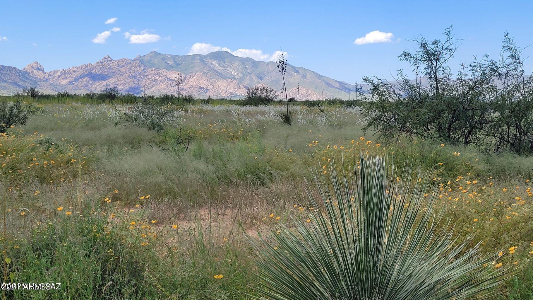 4.22 Acres On Treasure Road Pearce, AZ 85625 - Photo 11 of 26 4.22ACRES Treasure Rd (15)