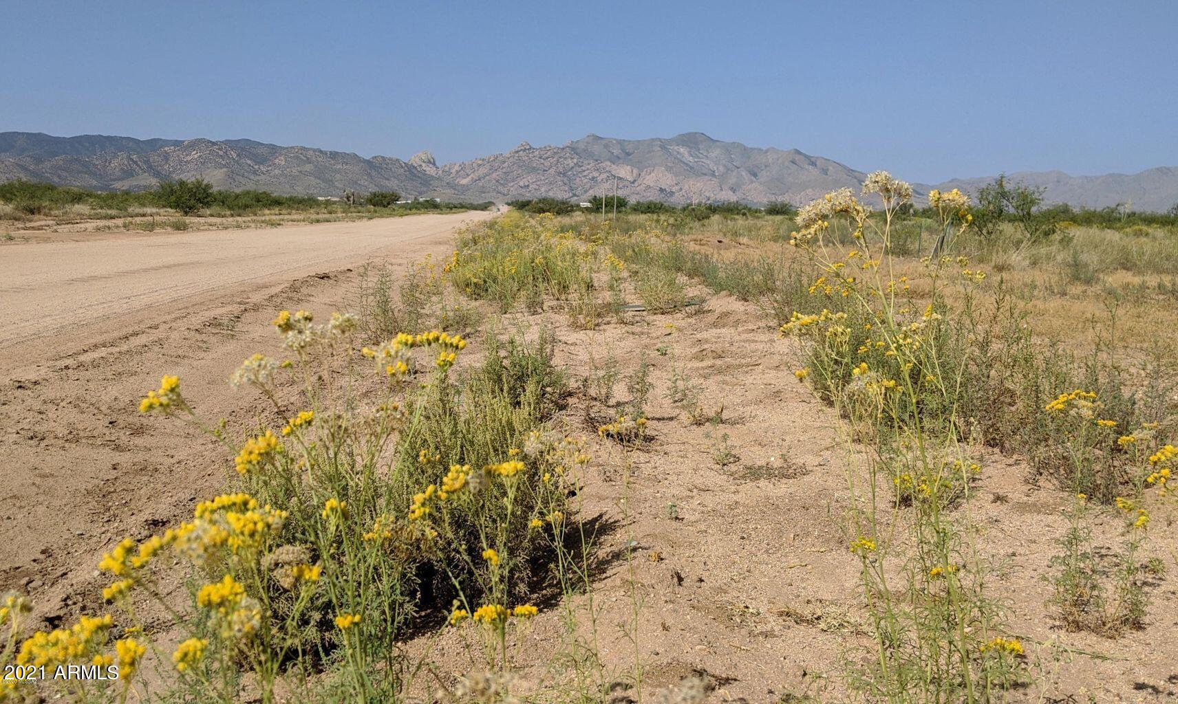 4.22 Acres On Treasure Road Pearce, AZ 85625 - Photo 12 of 26 4.22ACRES Treasure Rd (25)