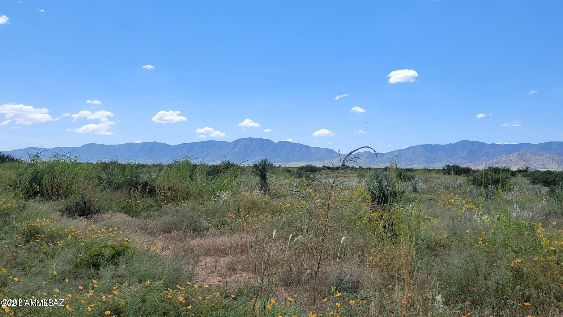 4.22 Acres On Treasure Road Pearce, AZ 85625 - Photo 16 of 26 4.22ACRES Treasure Rd (16)