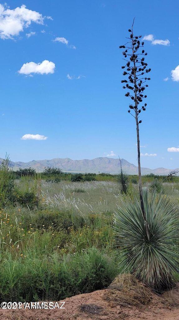 4.22 Acres On Treasure Road Pearce, AZ 85625 - Photo 21 of 26 4.22ACRES Treasure Rd (7)