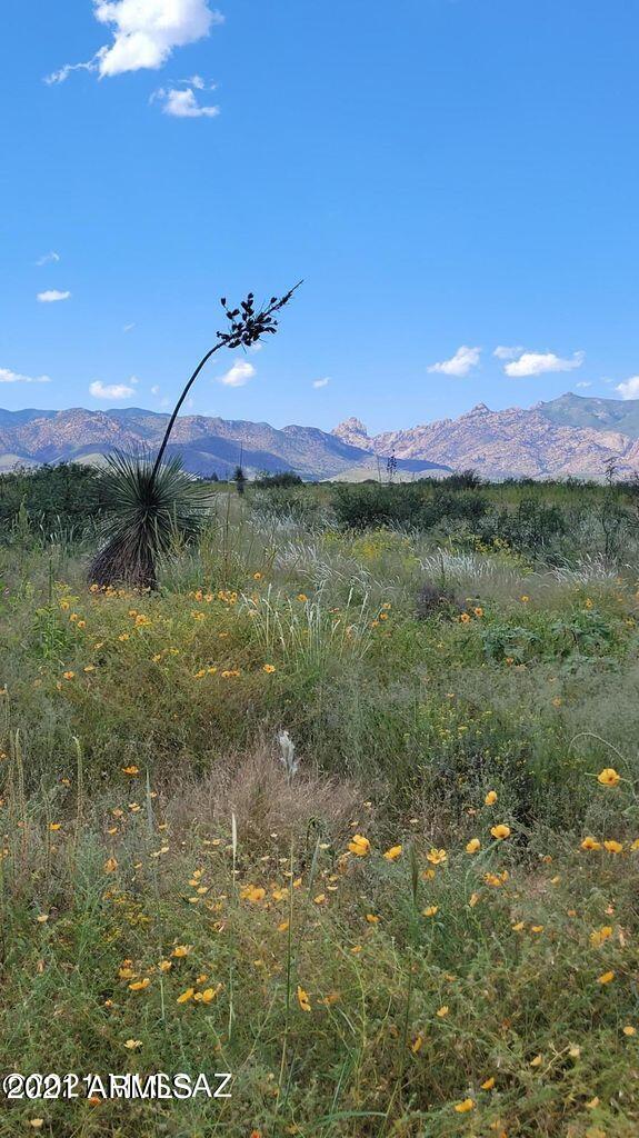 4.22 Acres On Treasure Road Pearce, AZ 85625 - Photo 23 of 26 4.22ACRES Treasure Rd (4)