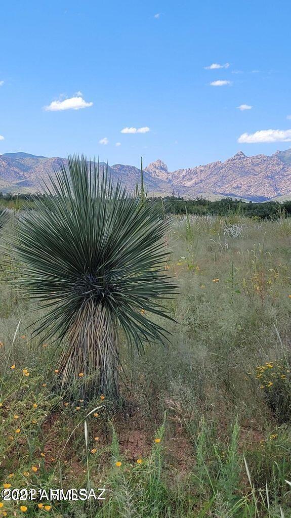 4.22 Acres On Treasure Road Pearce, AZ 85625 - Photo 25 of 26 4.22ACRES Treasure Rd (2)