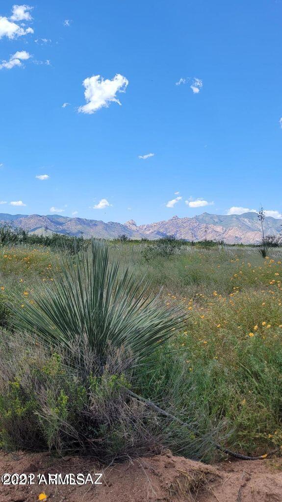 4.22 Acres On Treasure Road Pearce, AZ 85625 - Photo 5 of 26 4.22ACRES Treasure Rd (5)