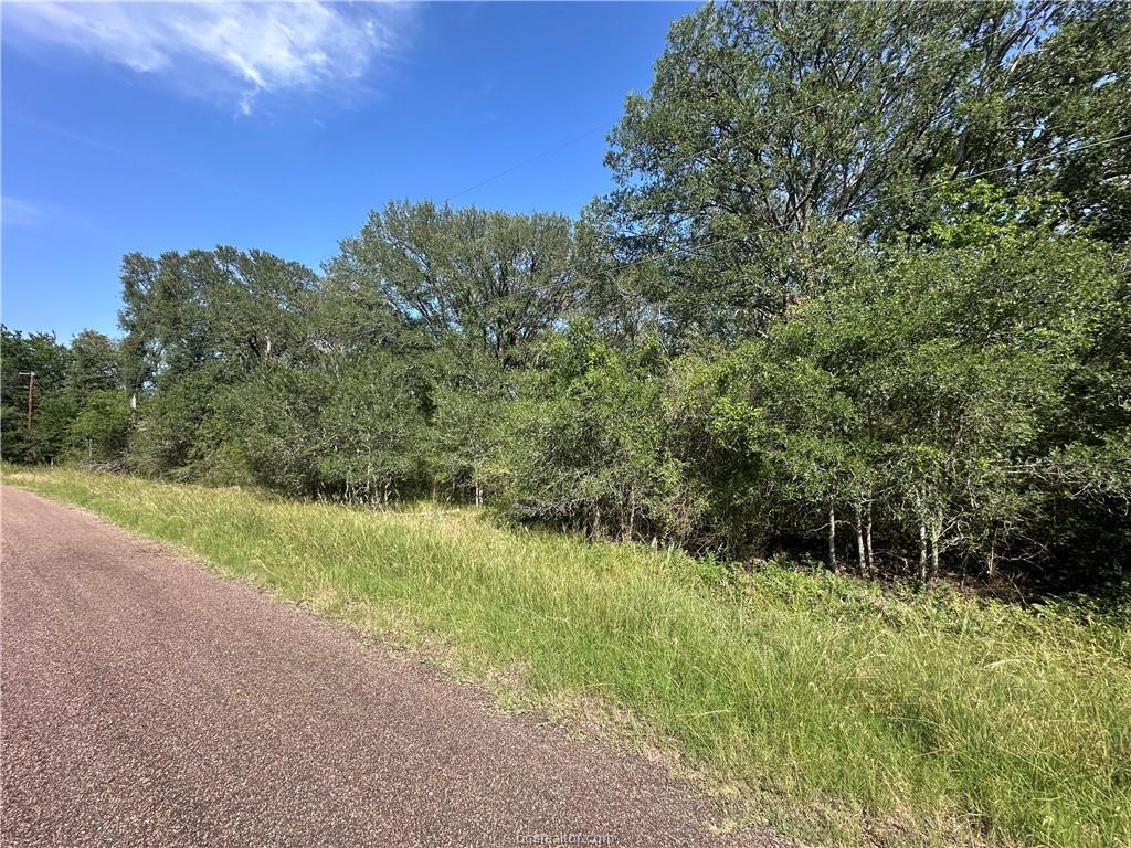 362 Indian Ridge Drive Somerville, TX 77879 - Photo 1 of 7