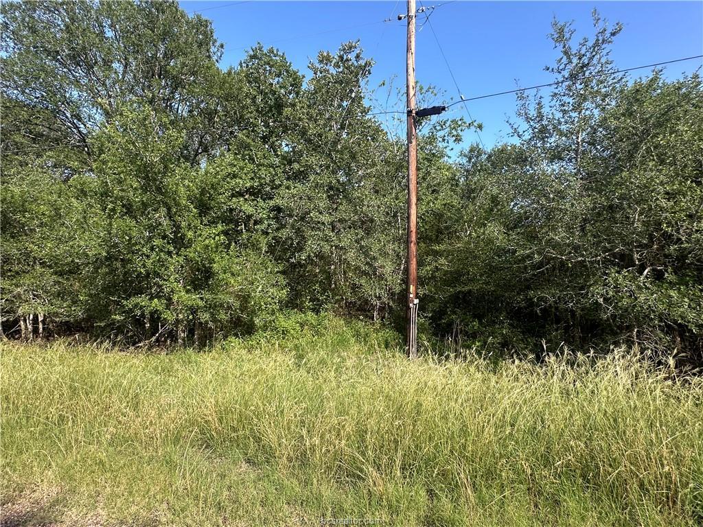 362 Indian Ridge Drive Somerville, TX 77879 - Photo 3 of 7