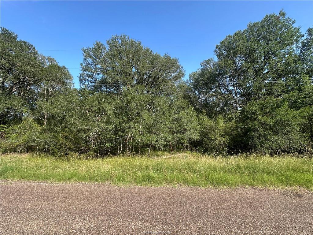 362 Indian Ridge Drive Somerville, TX 77879 - Photo 7 of 7