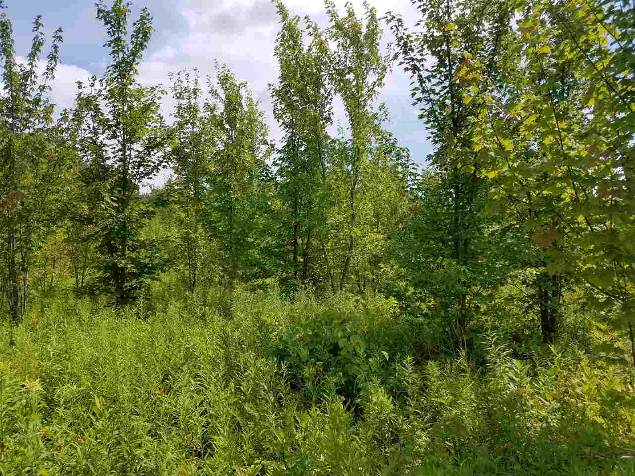 13-acres County Rd H Chili, WI 54420 - Photo 1 of 1