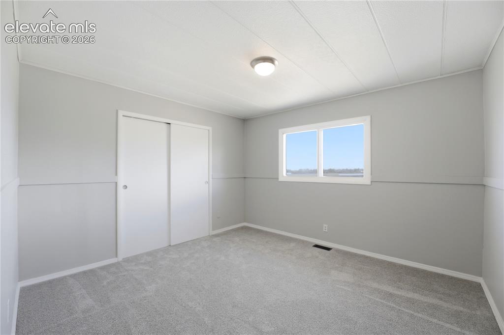 19027 Murphy Road Peyton, CO 80831 - Photo 15 of 48 Carpet
