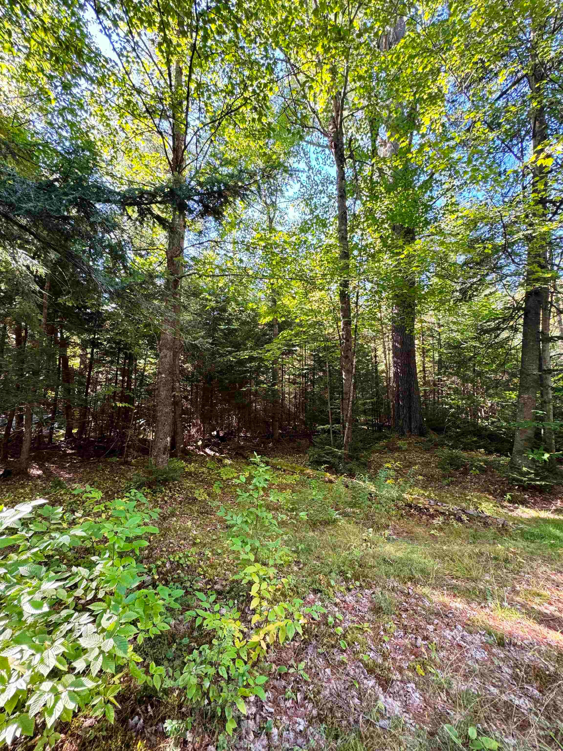 686 Wing Road Bethlehem, NH 03574 - Photo 35 of 38