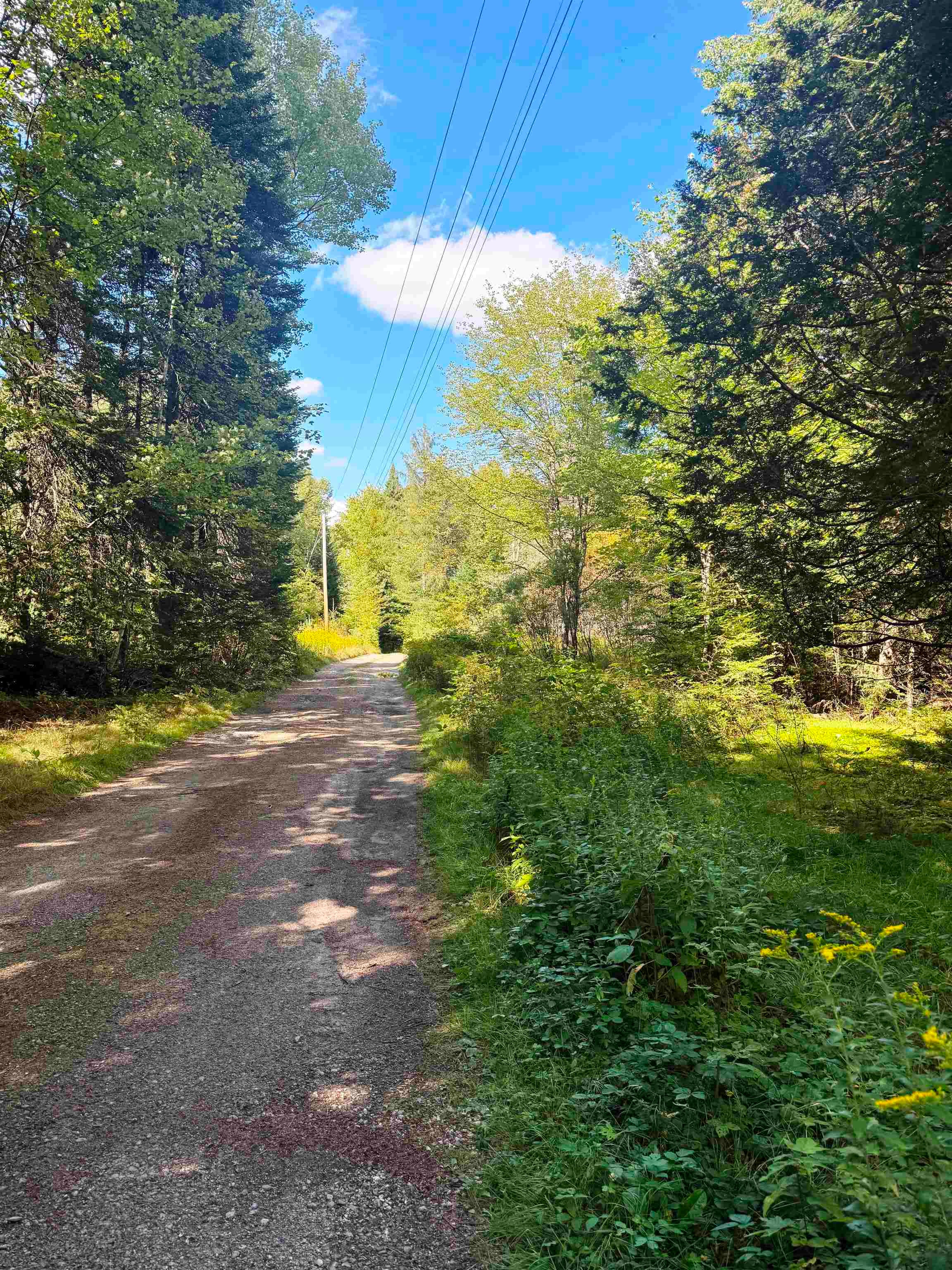 686 Wing Road Bethlehem, NH 03574 - Photo 38 of 38