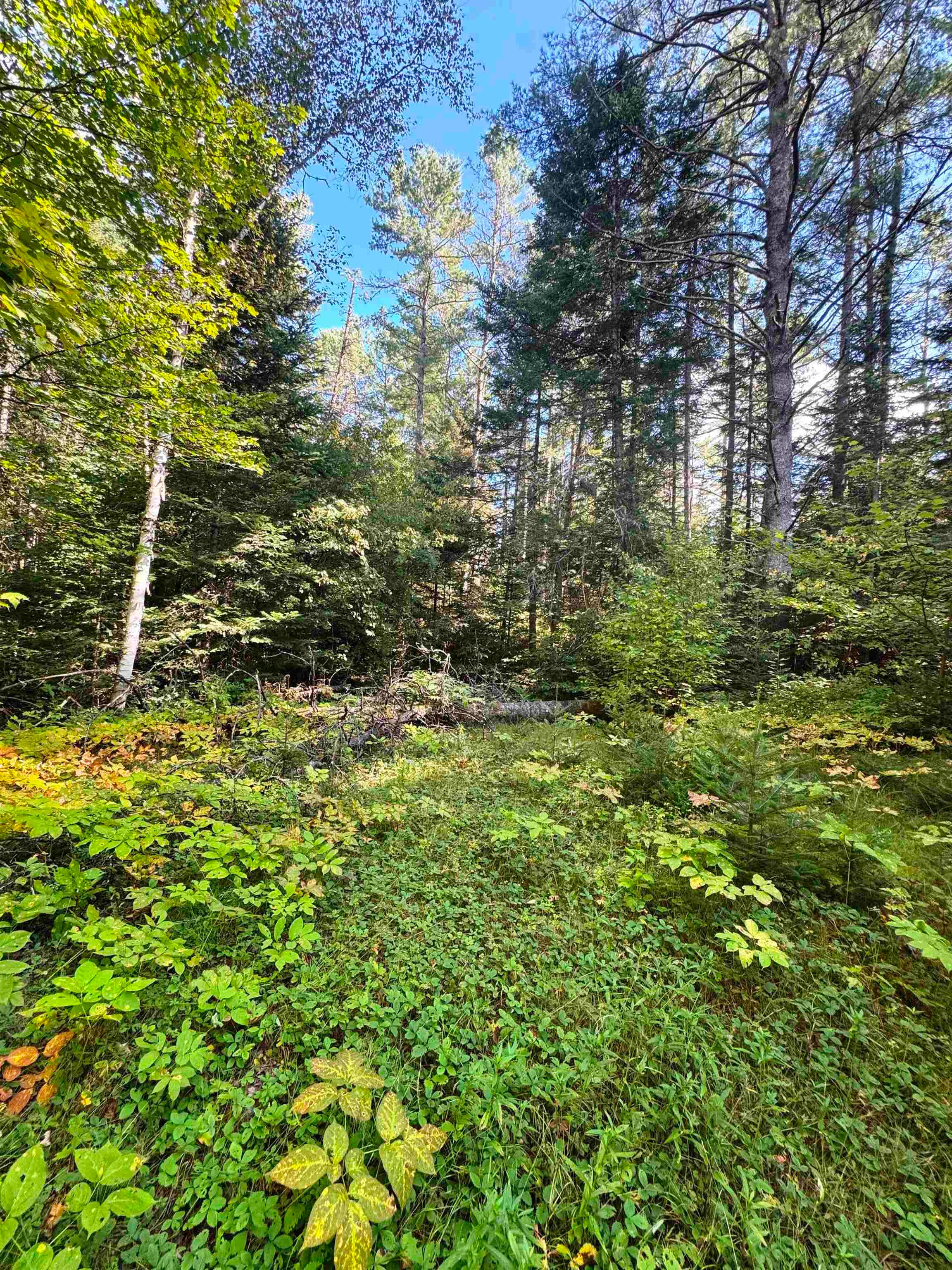 686 Wing Road Bethlehem, NH 03574 - Photo 5 of 38