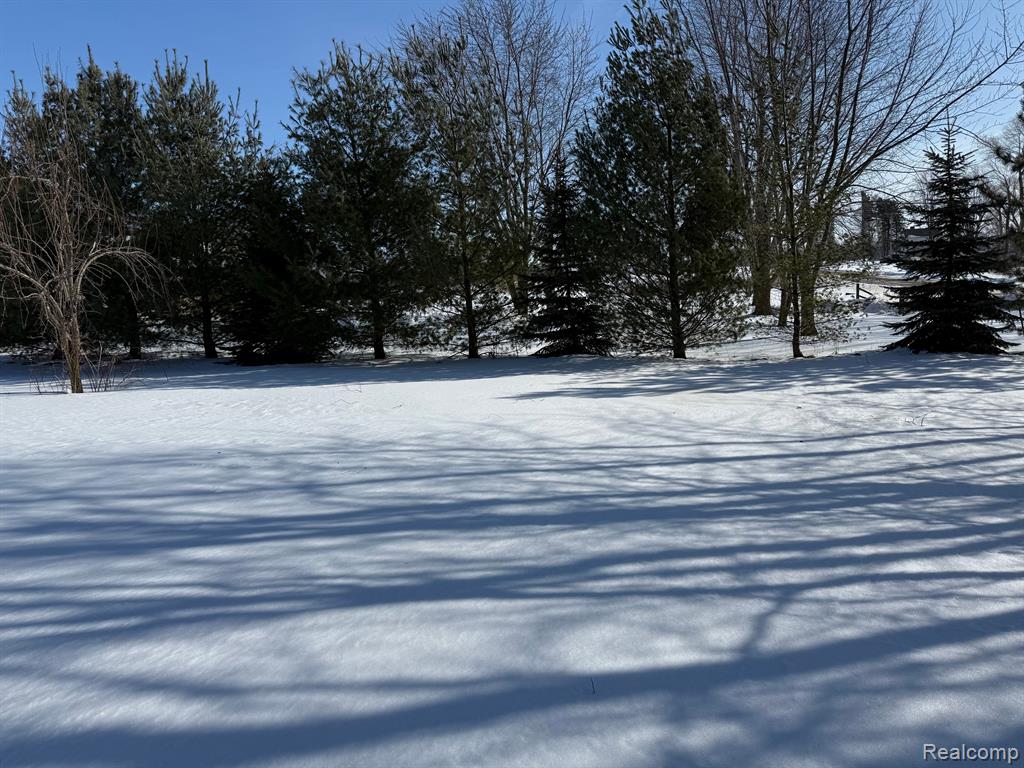 7595 Brooks Road Brown City, MI 48416 - Photo 7 of 17