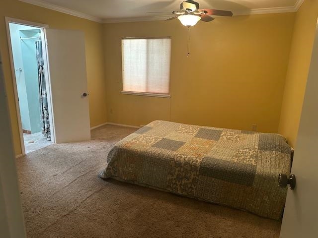 454 33 Road Clifton, CO 81520 - Photo 14 of 25 Gallery Image 14