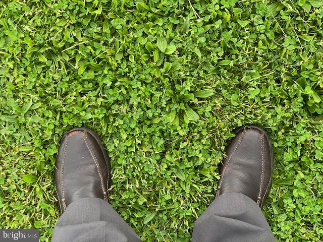 Put Some Land Under Your Feet