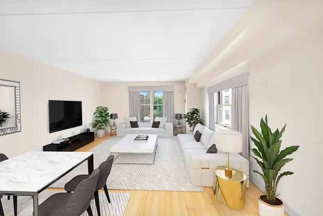 a living room with furniture potted plant and a flat screen tv