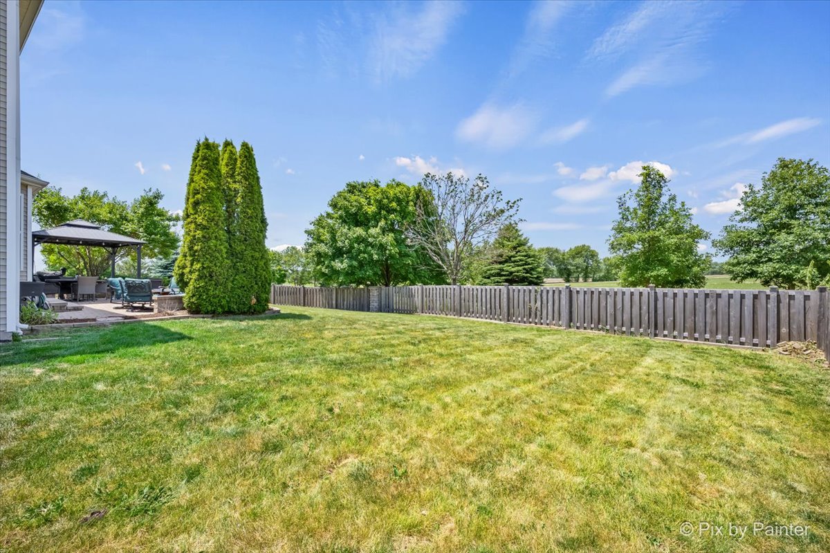 909 Avalon Way Minooka, IL 60447 - Photo 38 of 44