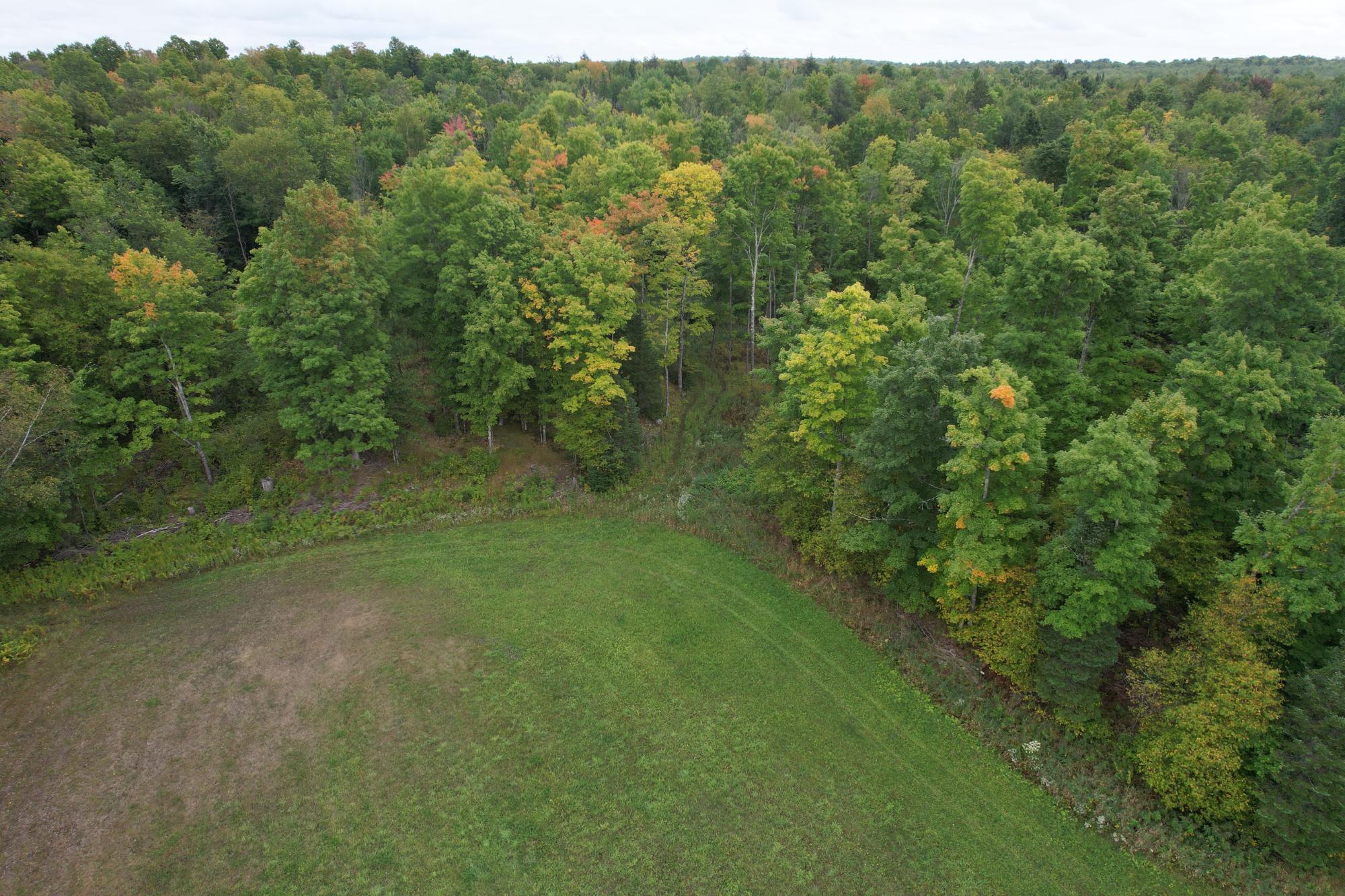 40-ac On Wagner Vogt Road Butternut, WI 54514 - Photo 16 of 25 Gallery Image 16