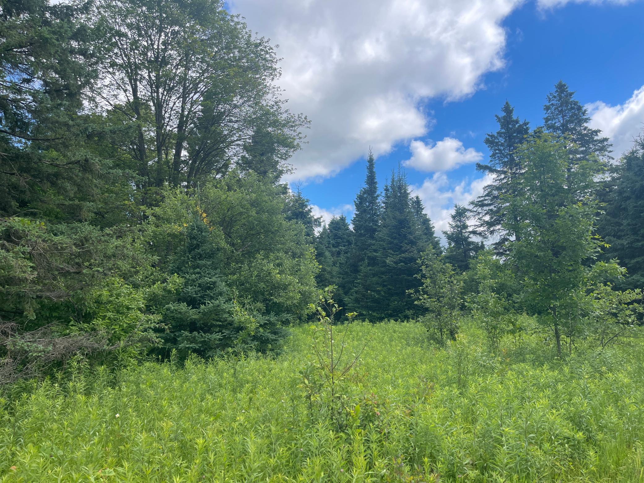 Tbd Sjodahl Road Sandstone, MN 55072 - Photo 11 of 15