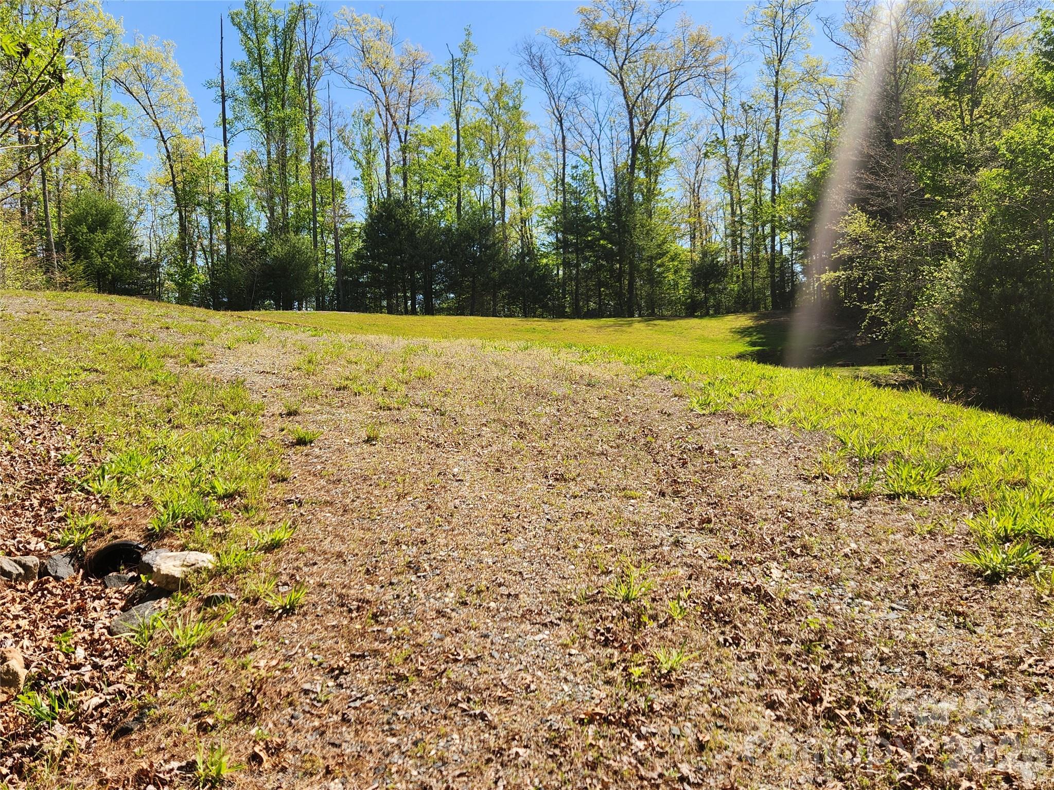 889 Firefly Trail Marshall, NC 28753 - Photo 13 of 35 a view of outdoor space with swimming pool and trees in the background
