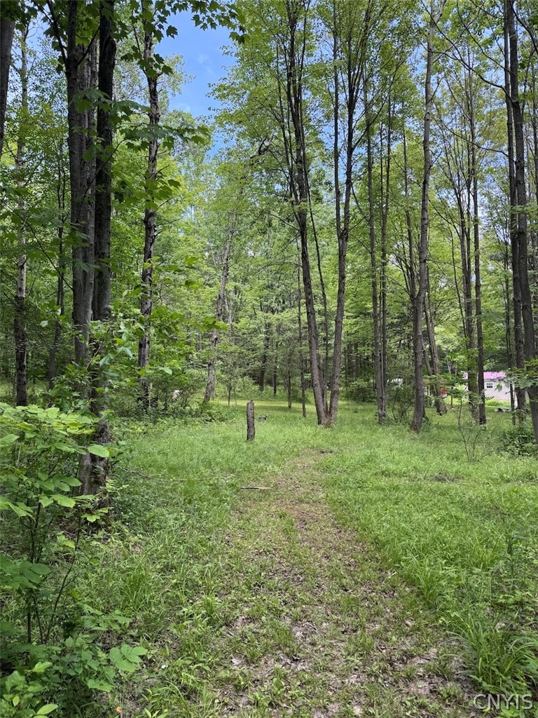 6227 Fritz Road Belfast, NY 14739 - Photo 43 of 50