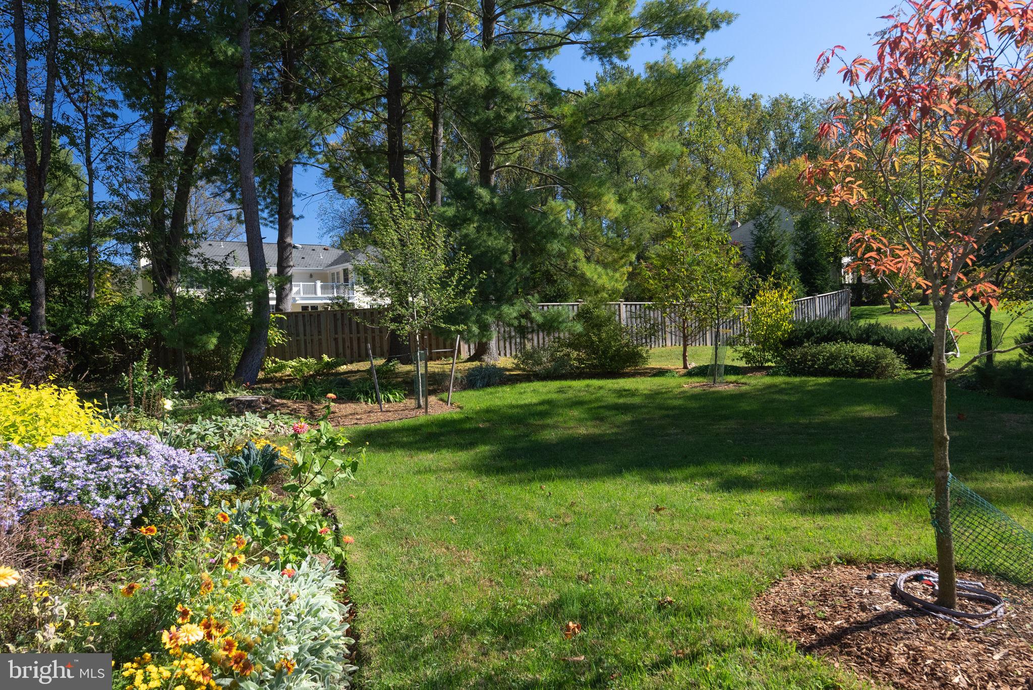 825 Ridge Drive McLean, VA 22101 - Photo 3 of 65 rear yard