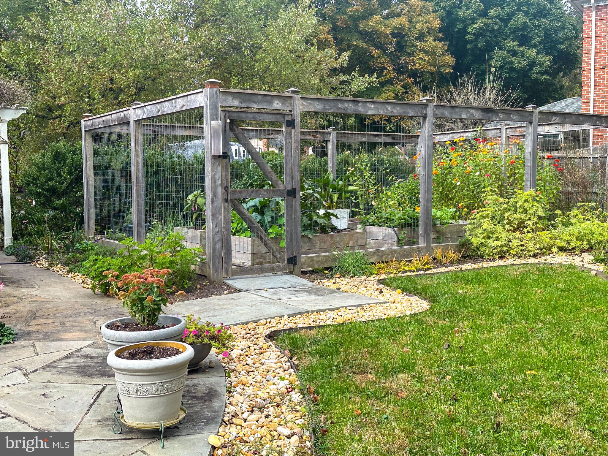 825 Ridge Drive McLean, VA 22101 - Photo 50 of 65 fenced vegi garden