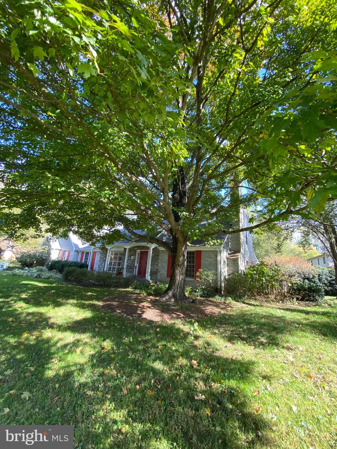 825 Ridge Drive McLean, VA 22101 - Photo 57 of 65 Maple tree used for maple syrup