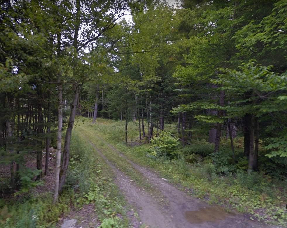 0 Robinson Springs Road Stowe, VT 05672 - Photo 1 of 1 Gallery Image 1