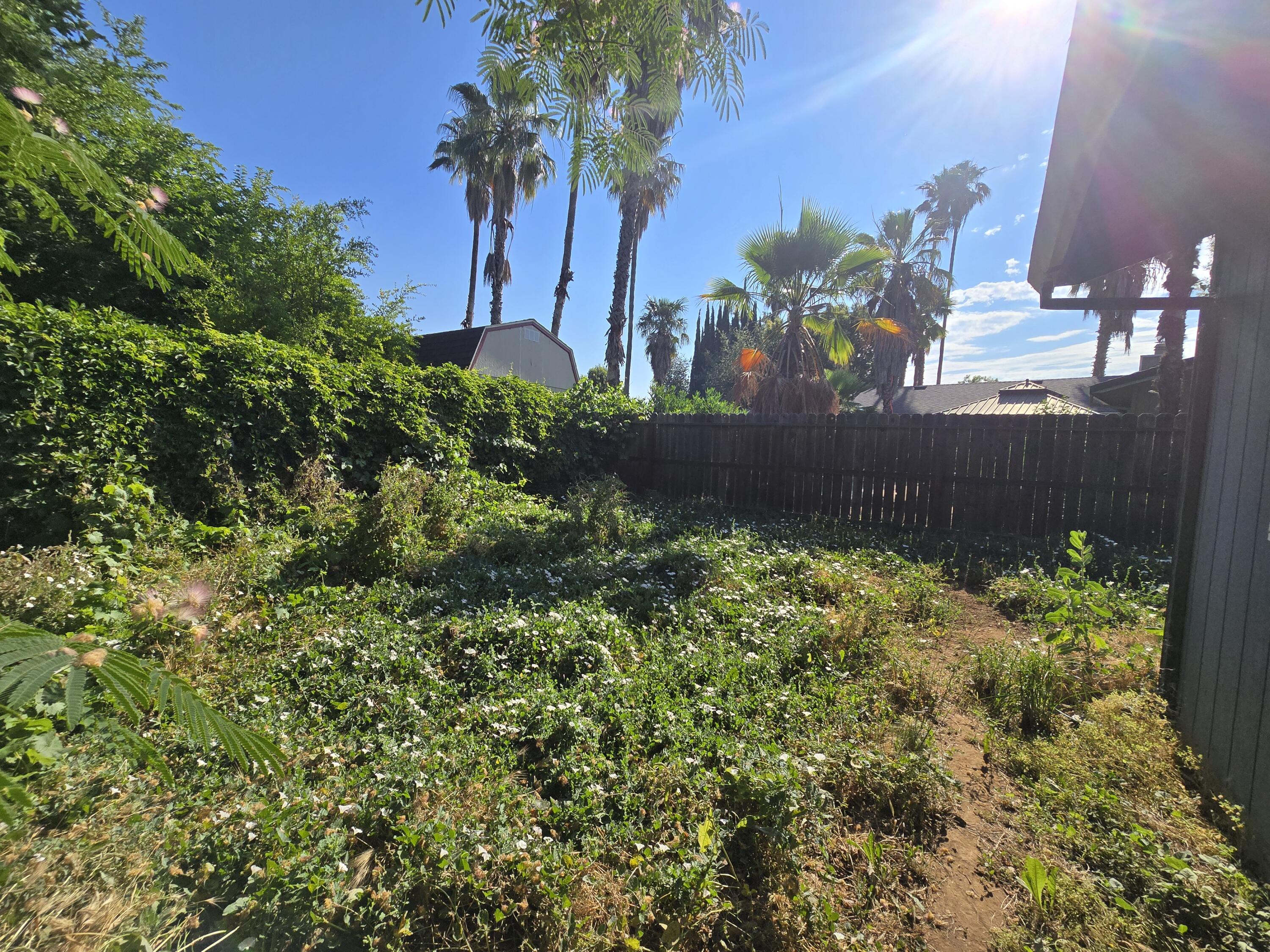 1591 Canby Road Redding, CA 96002 - Photo 13 of 15 a view of a backyard