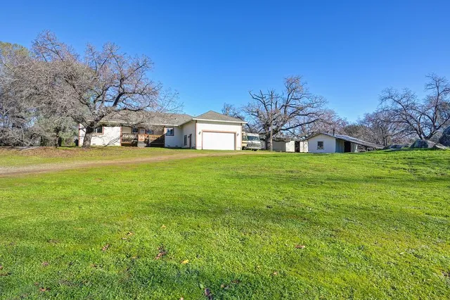 a view of a tree in front of a house with a big yard