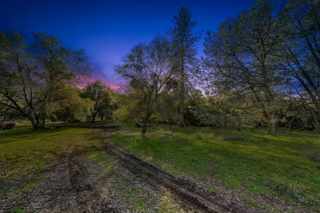 a view of a yard with a trees