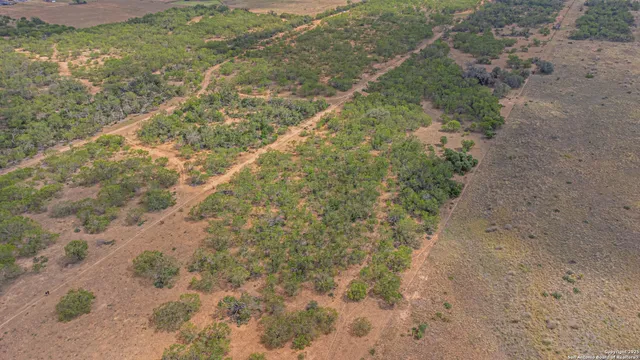 a view of a dry yard with trees