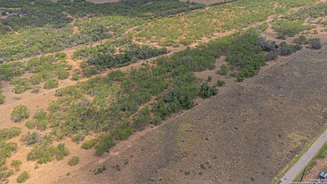 a view of a dry yard with wooden fence
