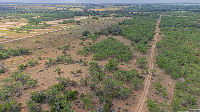 an aerial view of forest