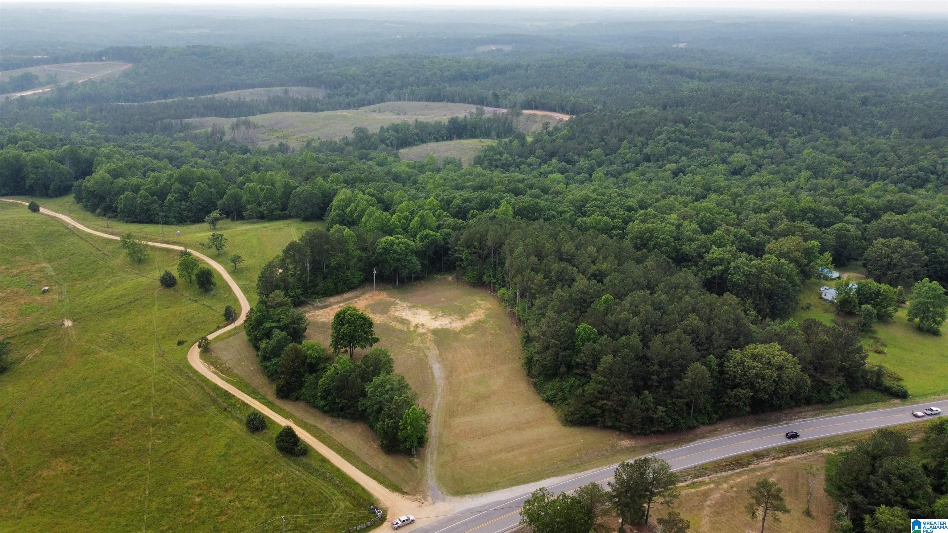 22909 Highway 195 Double Springs, AL 35553 - Photo 12 of 19